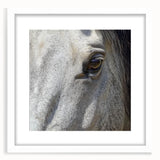 Abstract art print of a zebra in monochrome shades on a white framed canvas, suitable for bedroom or dining room decor.