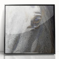 Large abstract wall art featuring a close-up of an animal in black and white, acrylic framed, ideal for modern decor.