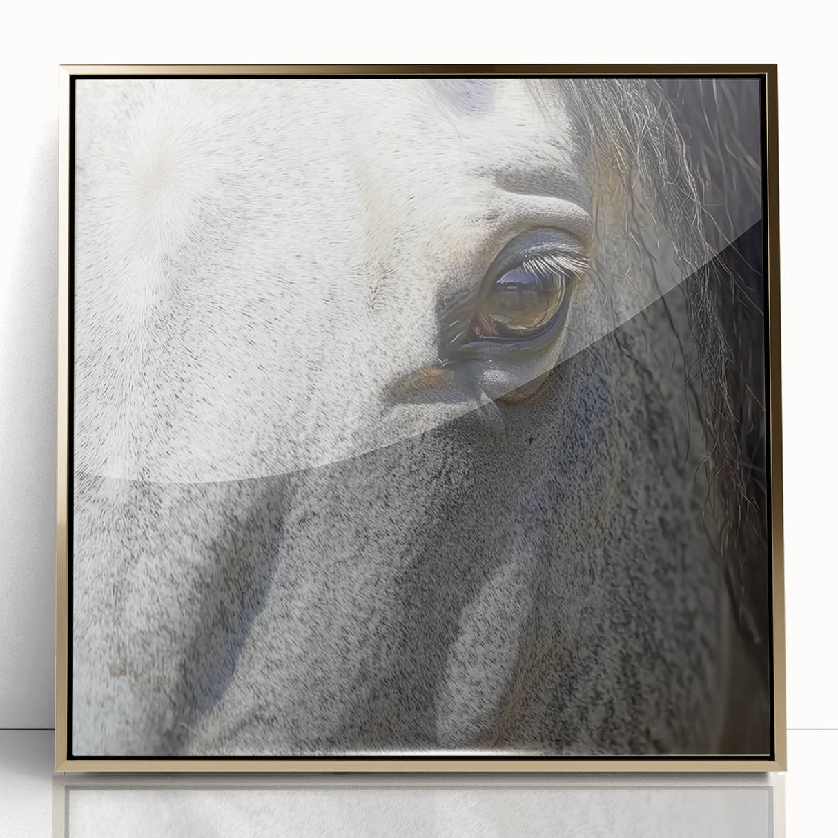 Framed acrylic print featuring a close-up of a goldfish, with vibrant orange and subtle green tones.