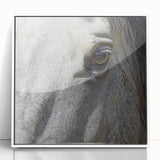 Close-up of a zebra in monochrome, framed acrylic print, suitable as modern art wall decor or nursery wall art.