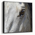 Black and white framed canvas featuring a close-up of an animal in a vintage poster style, ideal for bedroom wall decor.