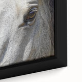 Close-up of a zebra in textured black and white, framed canvas, ideal for living room decor.