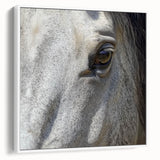 Vintage poster art of a colorful bird on a black background, printed on a large framed canvas.