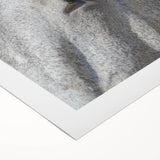 Art deco poster featuring a close-up of a zebra, in black and white tones, on rolled canvas.