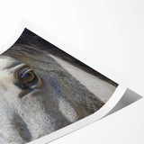 Extra large rolled print featuring line art flowers in black and white, ideal for large living room wall art.