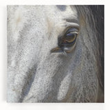 Black and white photo of a zebra on stretched canvas, ideal for kitchen wall art.