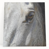 Close-up black and white photo of a zebra on stretched canvas, ideal for kitchen wall art or bedroom decor.