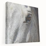 Close-up photo of a butterfly on canvas, featuring vibrant colors and detailed textures, suitable for kitchen wall art.