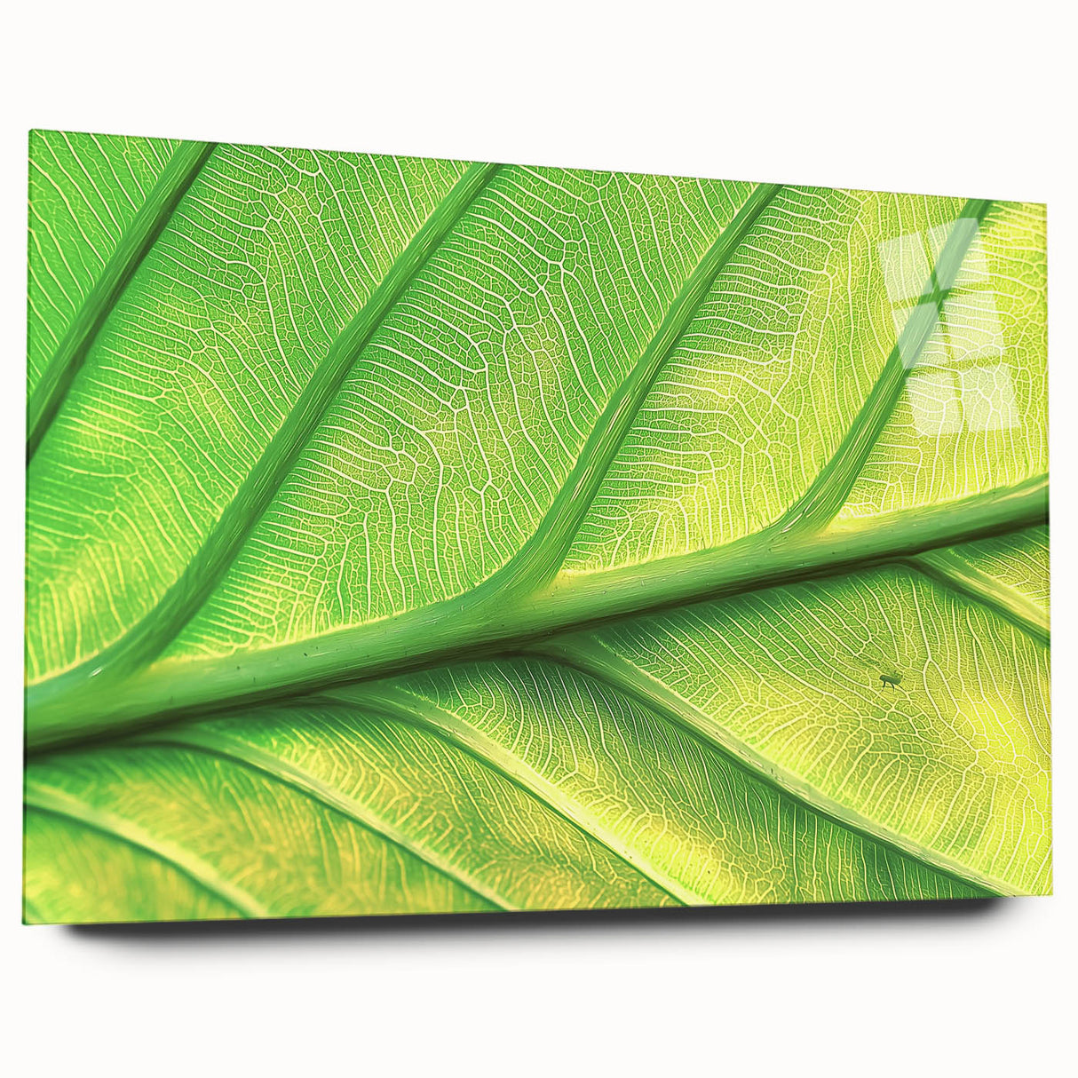 Large abstract floral design in vibrant colors on acrylic glass, ideal for bedroom or dining room art.