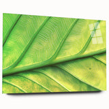 Large abstract floral design in vibrant colors on acrylic glass, ideal for bedroom or dining room art.