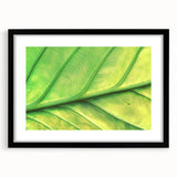 Extra large abstract art print featuring vibrant, colorful floral close-ups, textured on a black framed canvas.