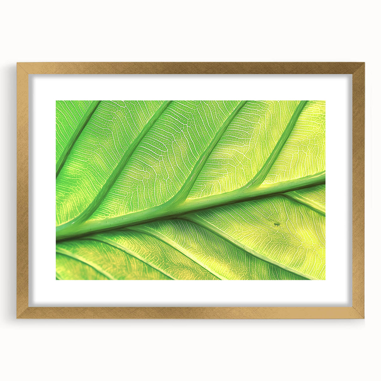 Extra large abstract art print featuring textured florals in muted earth tones, framed in gold, ideal for living room decor.