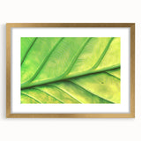 Extra large abstract art print featuring textured florals in muted earth tones, framed in gold, ideal for living room decor.