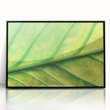 Large abstract wall art featuring close-up floral designs in vibrant colors on a black acrylic framed print.