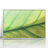 Art deco poster featuring close-up floral designs in pastel shades on a white acrylic framed print.