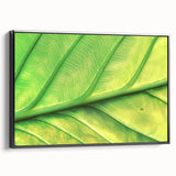 Black and white framed canvas featuring a close-up floral design, suitable for bedroom wall decor.