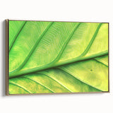 Framed canvas depicting a black and white vintage landscape painting, ideal for bedroom wall art.