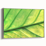 Landscape art painting featuring colorful flowers with a vintage poster feel on a black background, framed in silver.