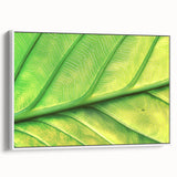 Vintage poster art of colorful florals on a large framed canvas, ideal for living room decor.