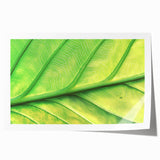 Close-up floral art on rolled print featuring soft pastel shades, ideal for dining room or bathroom decor.