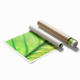 Close-up floral art on rolled print featuring vibrant pink and green hues, suitable for large bathroom or living room walls.