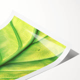 Extra large wall art featuring line art flowers in black on a white background, rolled print.