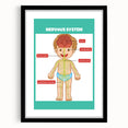 Classroom Educational Posters - Nervous System Learning Chart