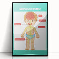 Classroom Educational Posters - Nervous System Learning Chart