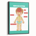 Classroom Educational Posters - Nervous System Learning Chart