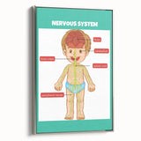 Classroom Educational Posters - Nervous System Learning Chart