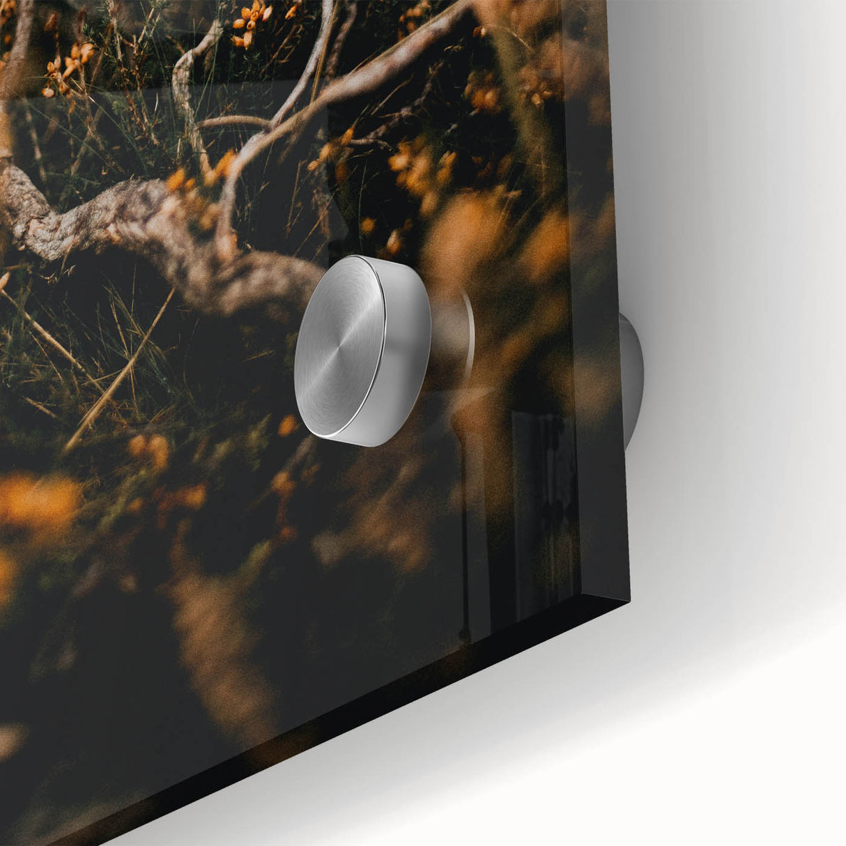 Large abstract wall art depicting autumn colors in mid-century modernist style on acrylic glass, ideal for dining room decor.