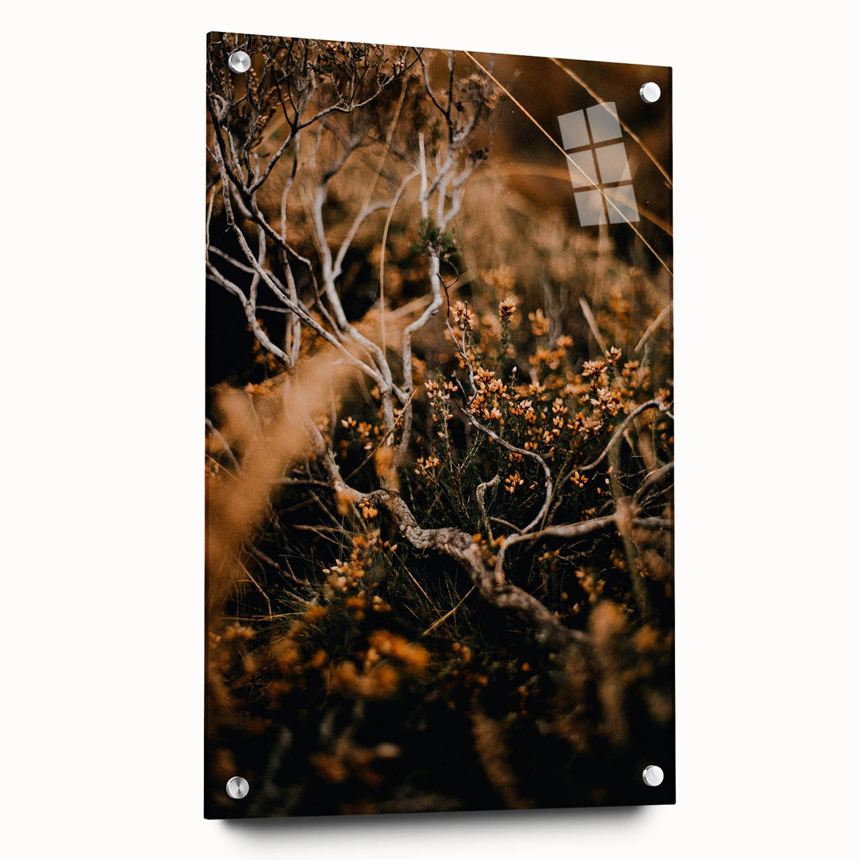 Large abstract wall art on acrylic glass depicting fall colors, ideal for bedroom or dining room decor.