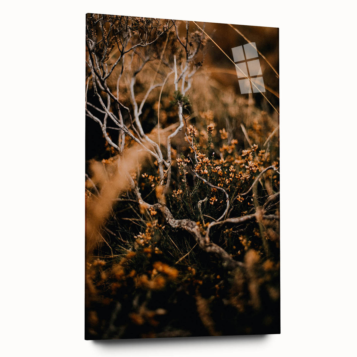 Large abstract wall art depicting autumn leaves in warm orange and red tones on acrylic glass.