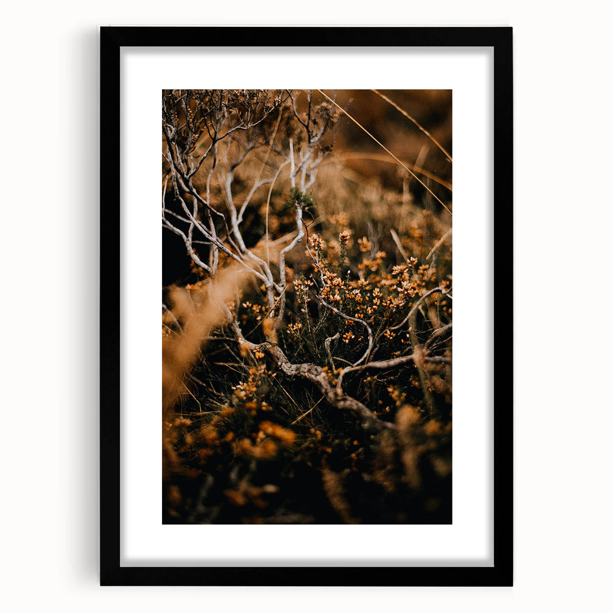 Extra large abstract art print featuring textured, colorful autumnal hues on a framed black canvas.