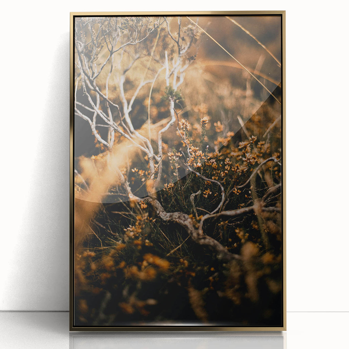 Mid-century modernist art depicting fall trees with gold and orange leaves on a large framed acrylic print.