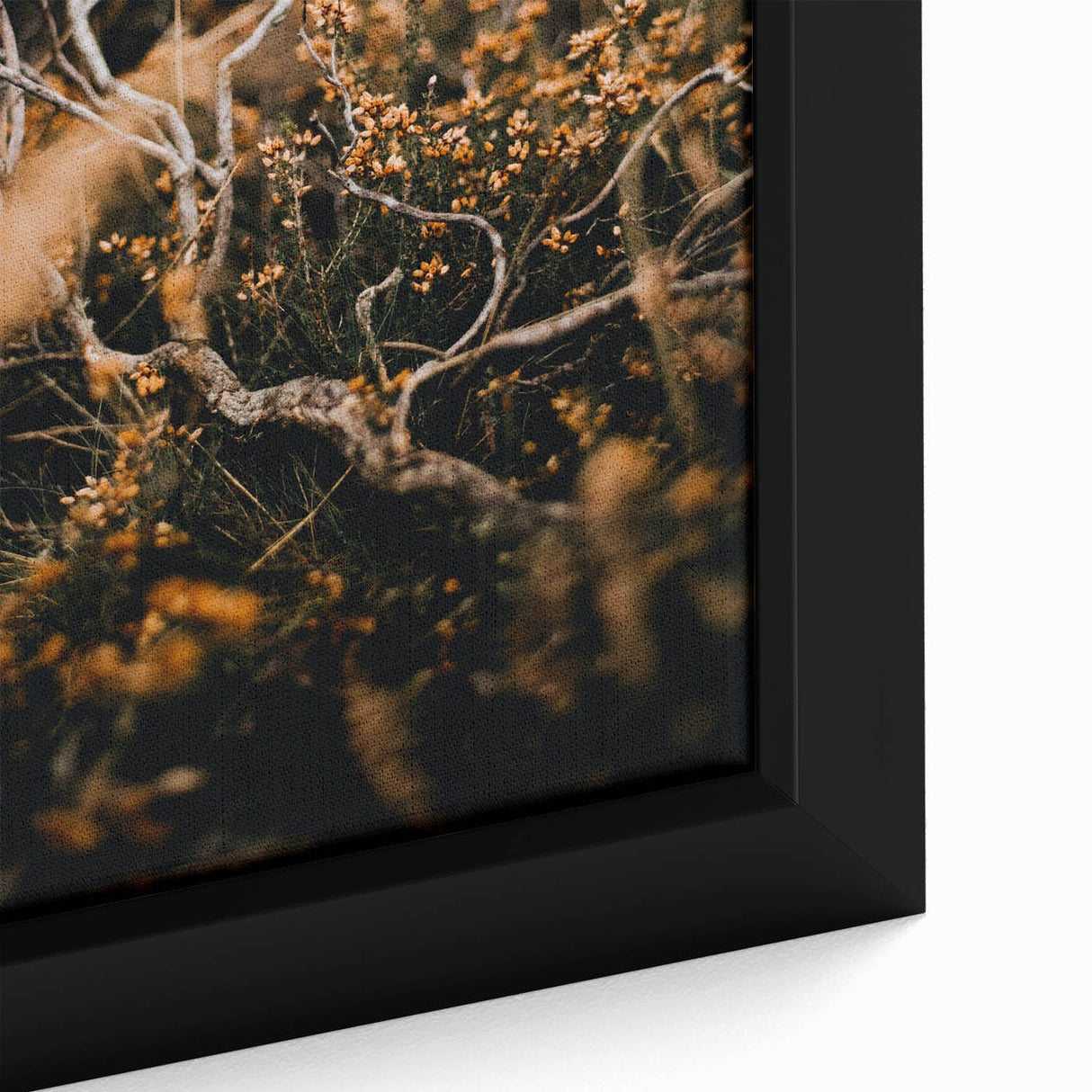 Extra large framed canvas featuring textured black wall art with colorful abstract designs, ideal for living room decor.