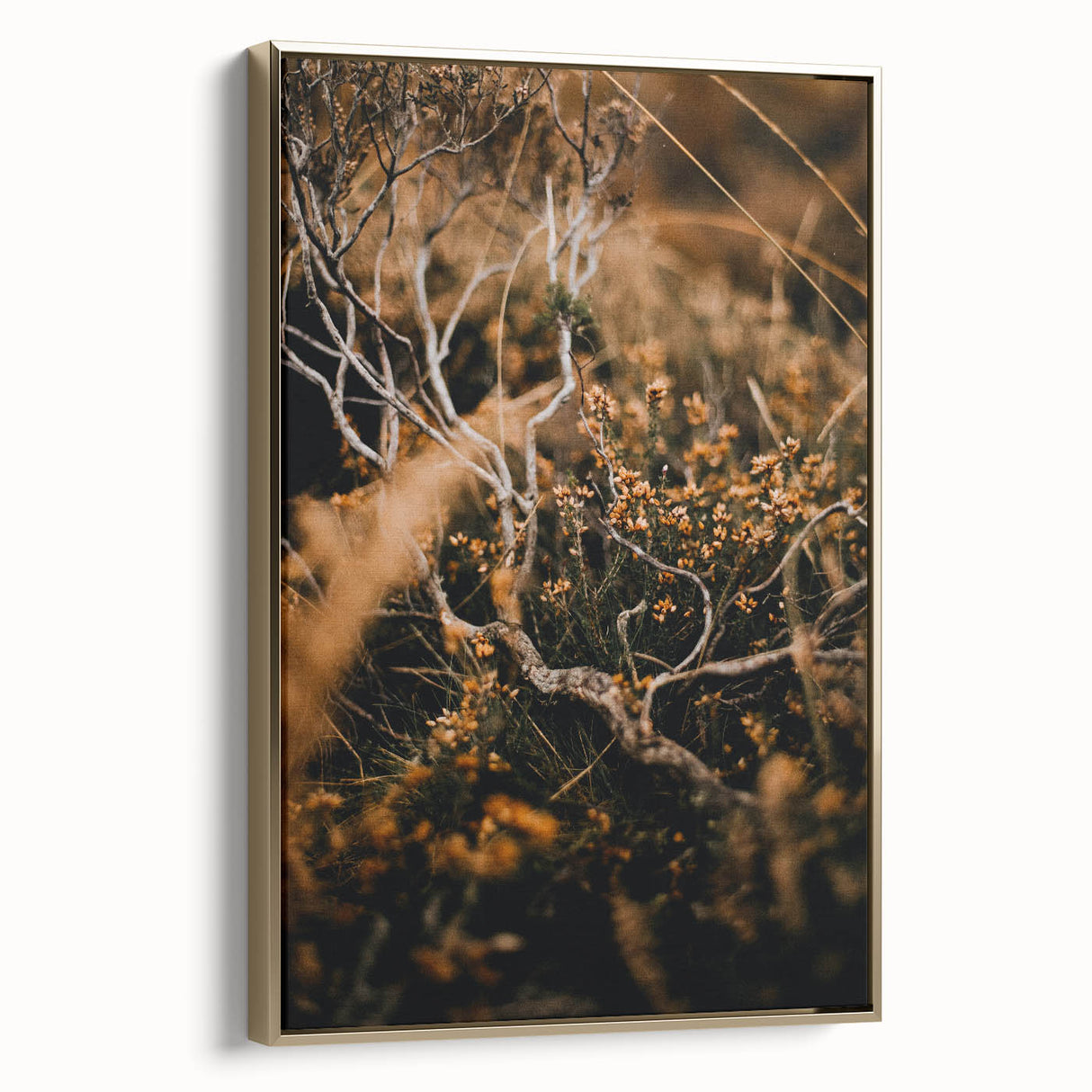 Framed canvas featuring a vintage poster-style landscape with autumnal trees in gold and black tones.