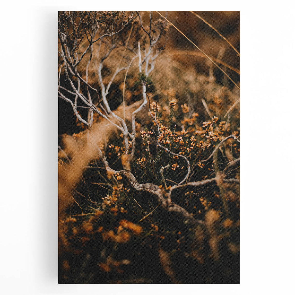 Black and white abstract depiction of autumn trees on large stretched canvas, suitable for kitchen art.