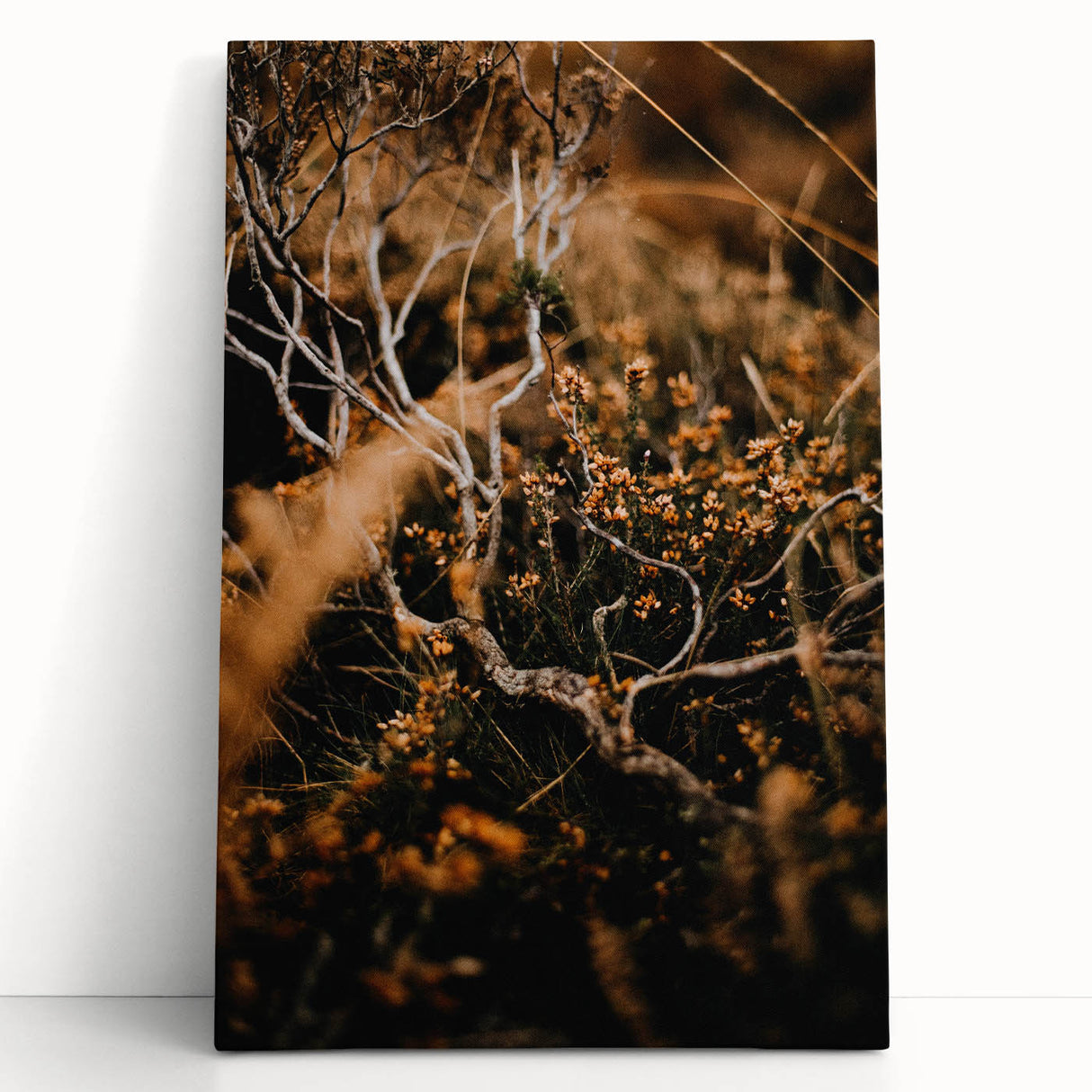 Black and white large canvas print of a fall-themed tree, ideal for kitchen wall art or bedroom ambiance.