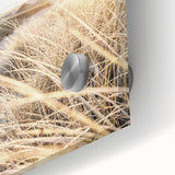 Large abstract wall art on acrylic glass featuring swirling orange and yellow tones.