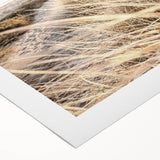 Art deco poster featuring a summer motif in vibrant colors on rolled canvas, suitable for dining room or bathroom.