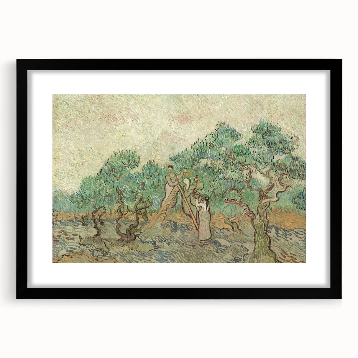 Impressionist Olive Grove Wall Art - The Olive Orchard by Van Gogh