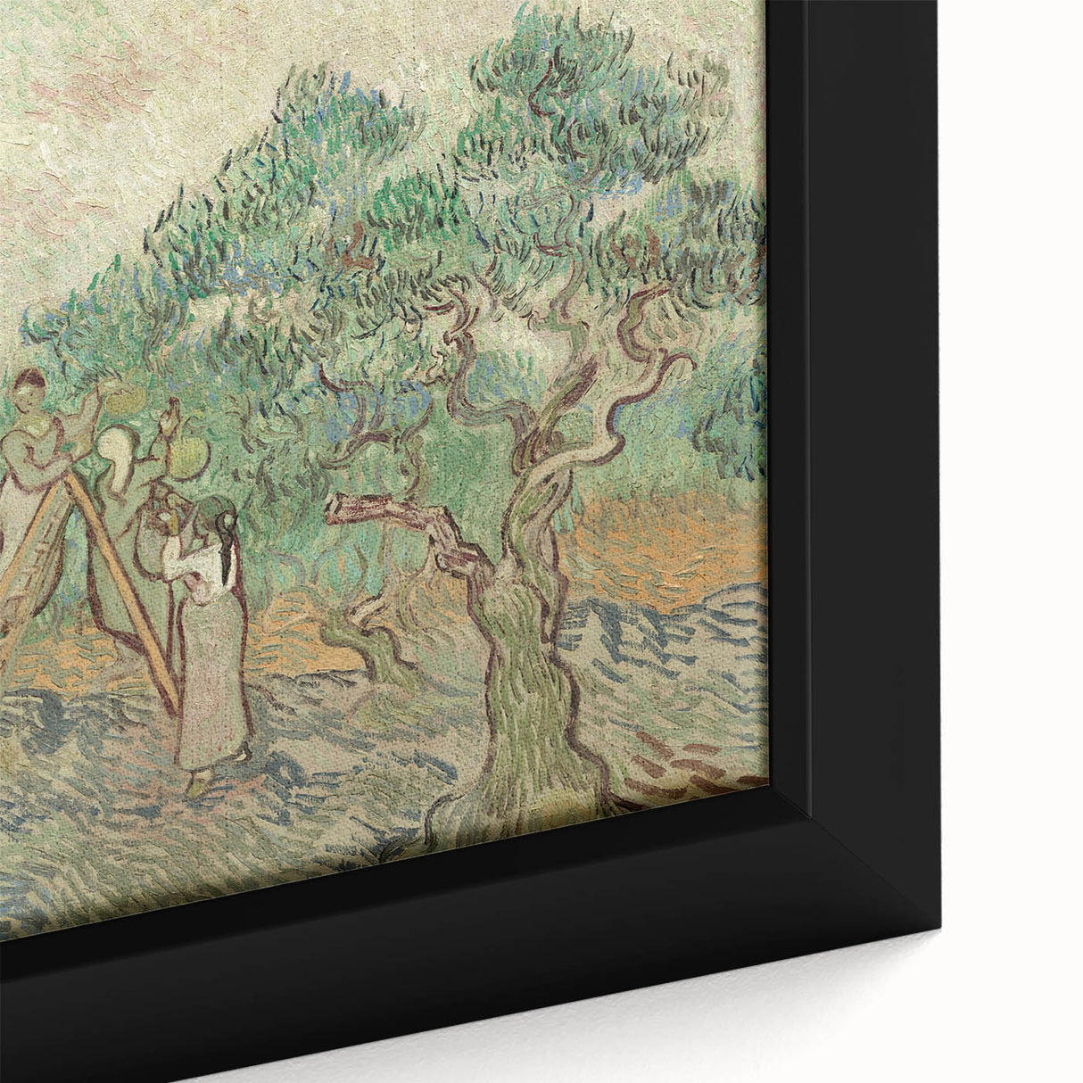 Impressionist Olive Grove Wall Art - The Olive Orchard by Van Gogh