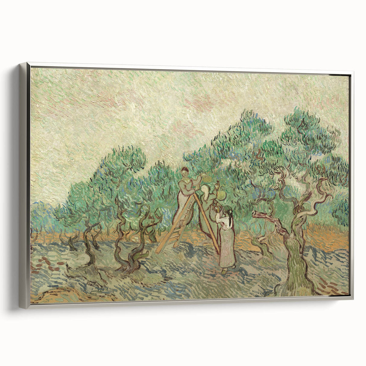 Impressionist Olive Grove Wall Art - The Olive Orchard by Van Gogh