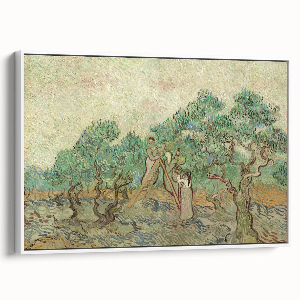 Impressionist Olive Grove Wall Art - The Olive Orchard by Van Gogh