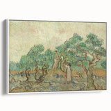 Impressionist Olive Grove Wall Art - The Olive Orchard by Van Gogh