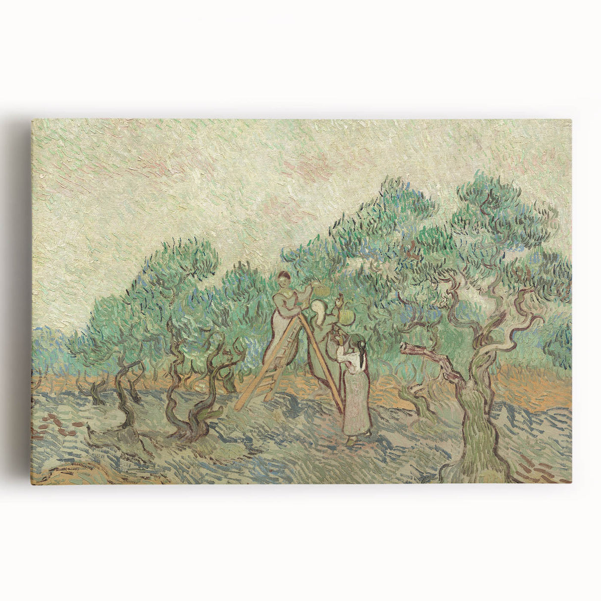 Impressionist Olive Grove Wall Art - The Olive Orchard by Van Gogh