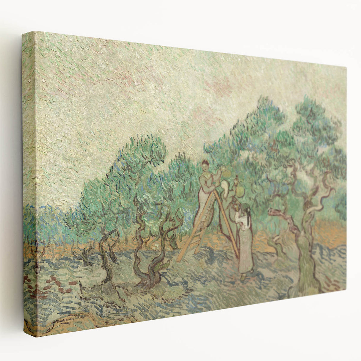 Impressionist Olive Grove Wall Art - The Olive Orchard by Van Gogh