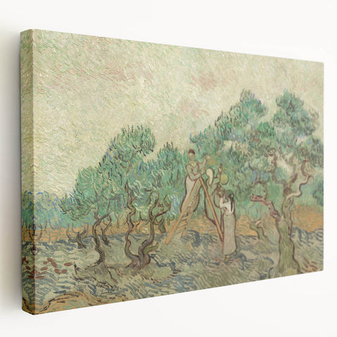Impressionist Olive Grove Wall Art - The Olive Orchard by Van Gogh