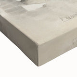 Modern Wall Art: Abstract Watercolor Fish Design